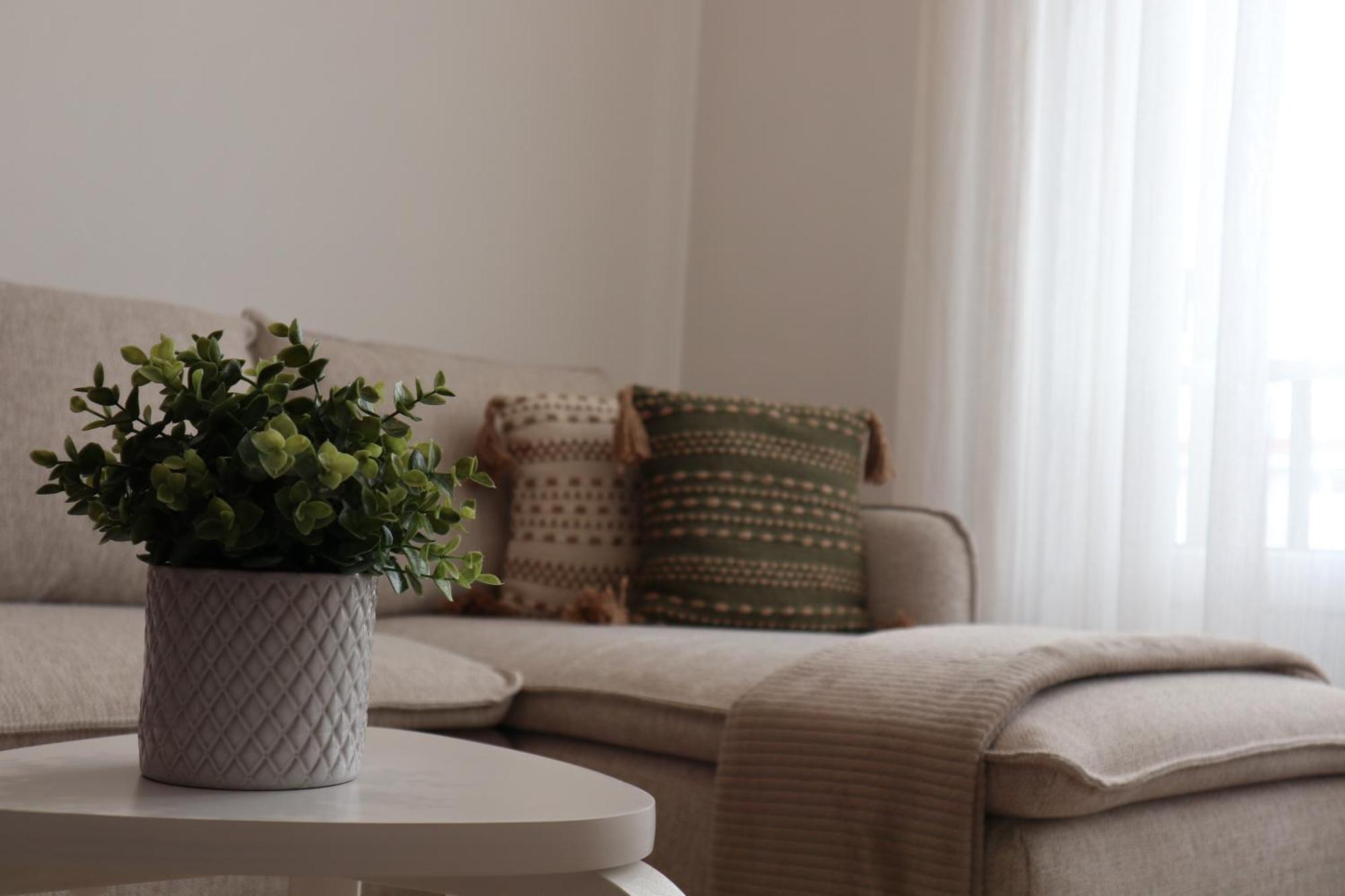 Apartmán Wild Blue By Svl Ponta Delgada Exteriér fotografie